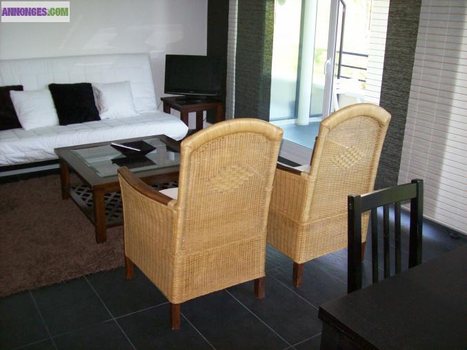 T3 meublé bord de mer