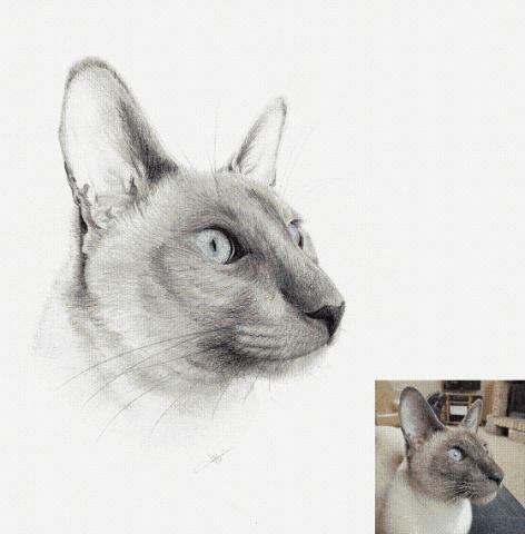 Dessinateur portraitiste