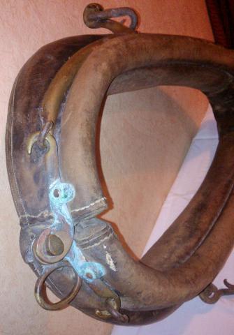 Colier d'ane du poitou