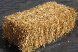 Blé MAIS. GRAINES. Paille Foin poules et animaux