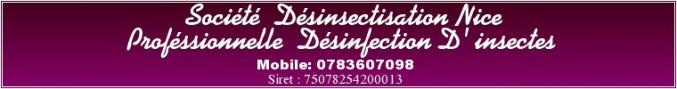Desinsectisation Nice Desinfection insectes