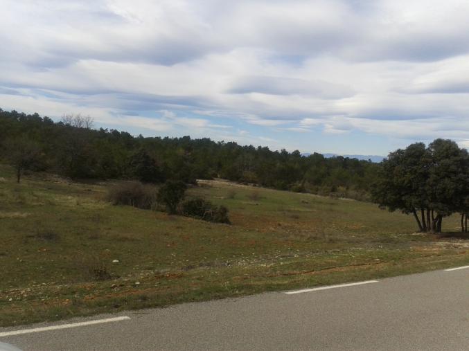 135 hectares, chasse ou sylviculture