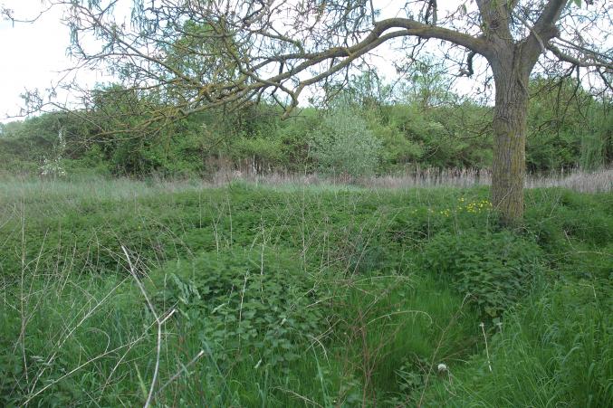 Terrain constructif + Etang + Potager