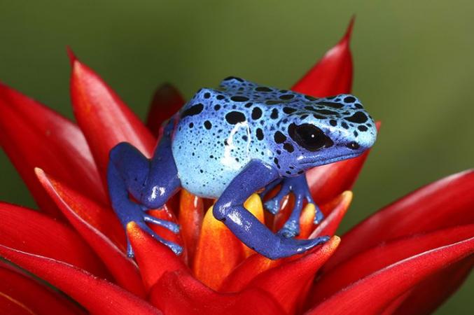 Homme 29 ans recherche femme indonésienne où Indochinoise,