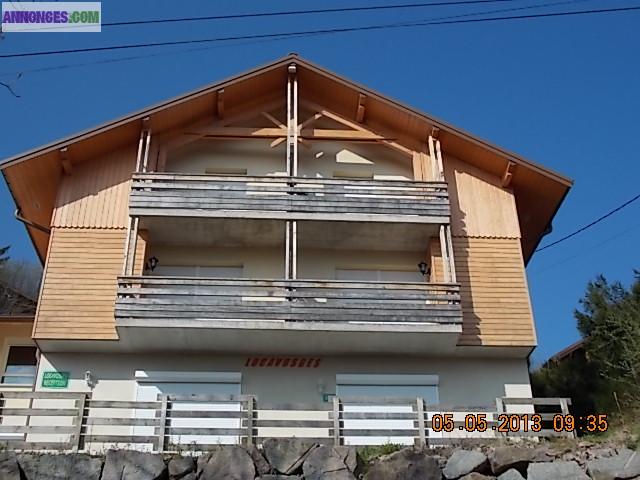 Hautes Vosges L'appartement récent sur les hauts de Xonrupt