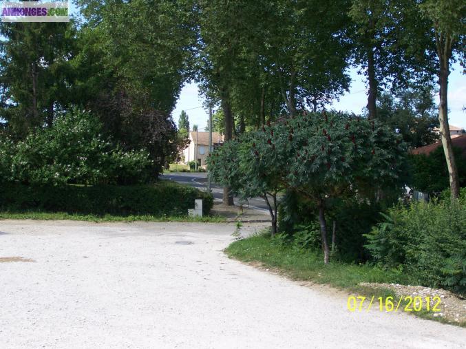 Bar tabac multiservices