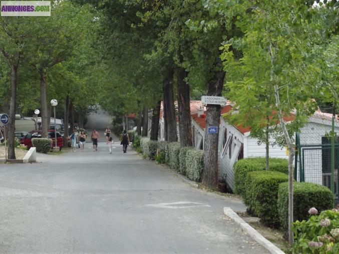 Location mobile home