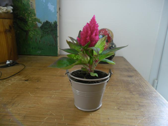 Assistante maternelle