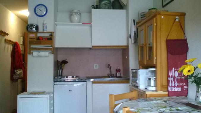 Appartement aux pieds des pistes 