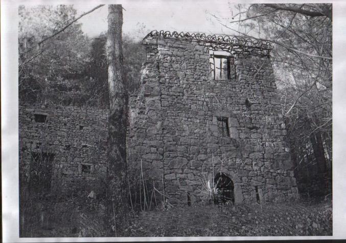 Magnifique bergerie Cévenole et son bois de 3Ha
