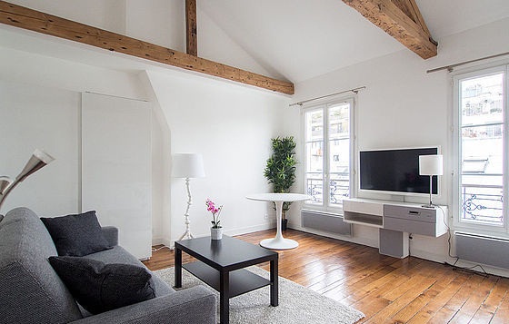 Appartement 1 pièce avec ascenseur dans le Marais