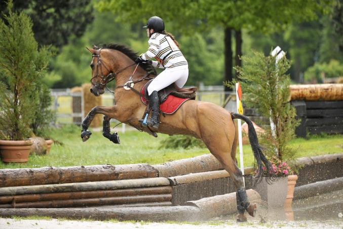 Cours et coaching monitrice équitation