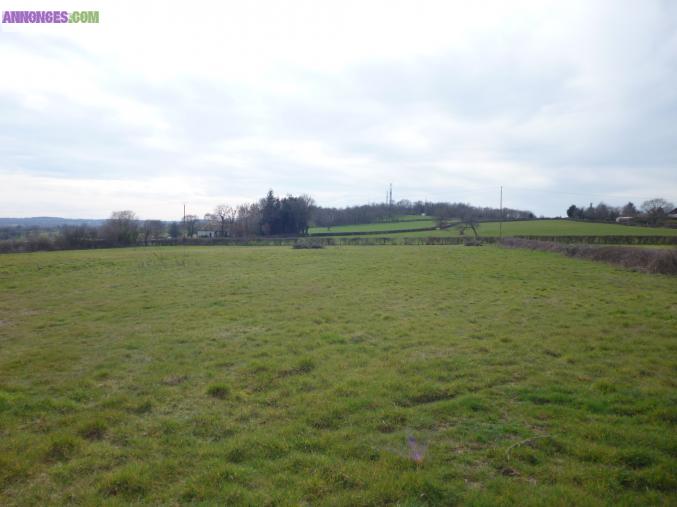Vente de terrains constructibles