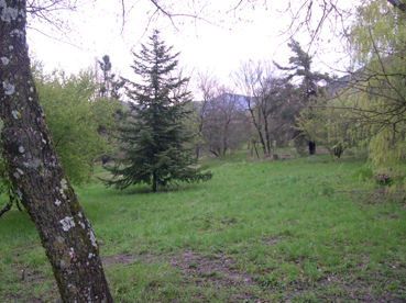 Pension Familiale pour Chiens