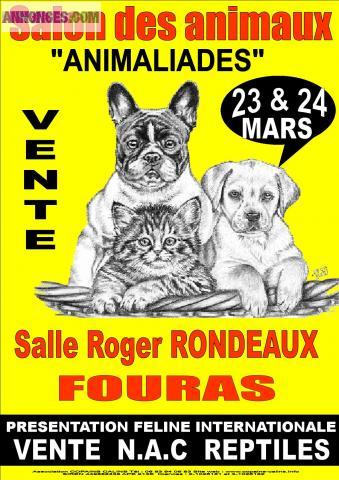 Salont du chiot et du chaton la rochelle 23 et 24 mars