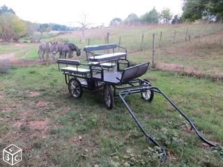 Calèche pour ânes ou poneys 6 places