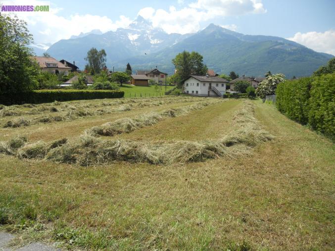 Terrain constructible à vendre à Bex.