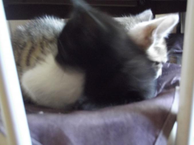 Donne contre bons soins