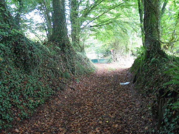 Petite Maison bati rural Normand