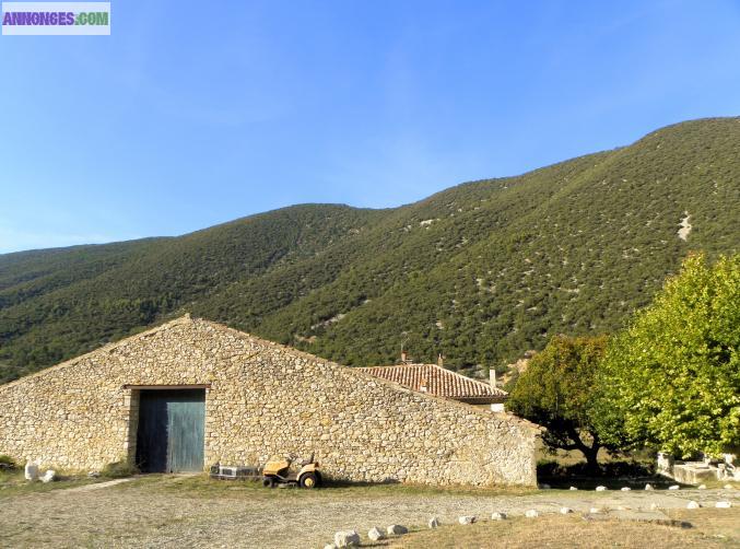 Mas provençal au pied du Ventoux