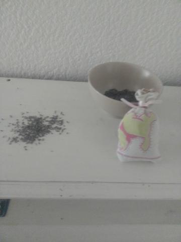 Aux pays de la lavande 