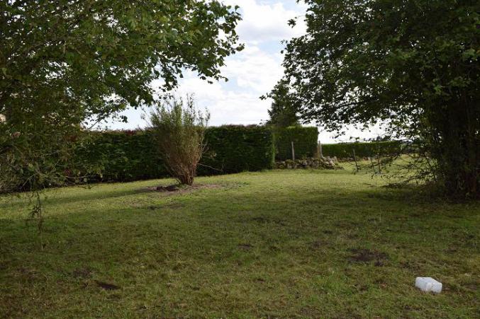 Pension confort pour chats et petits chiens