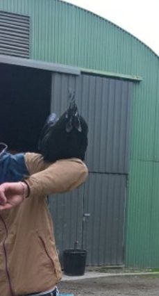 H ch emploi/job soigneur animalier logé