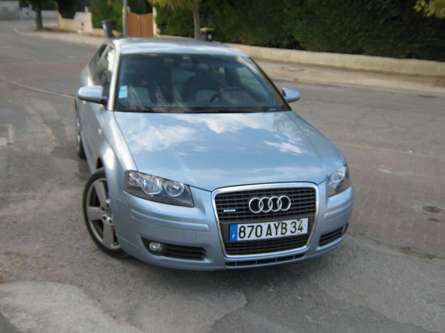 Audi A3 ii (2) 2.0 tdi 170 dpf quattro occasion