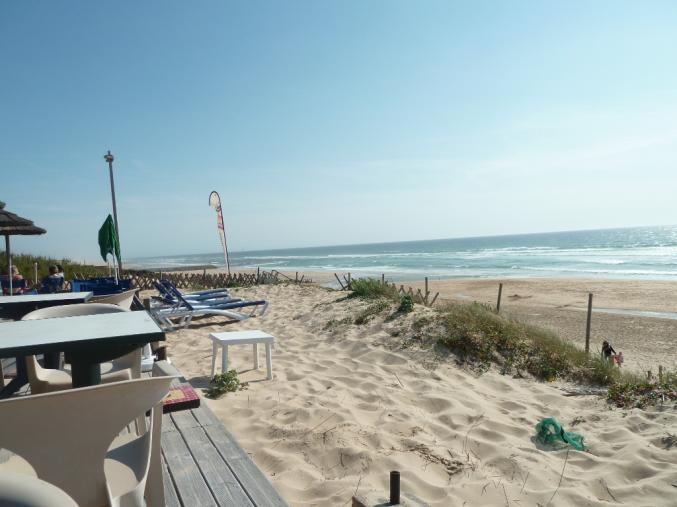 OCEAN/FORET:MAISON+JARDIN CLOS+Vélos GRATUIT