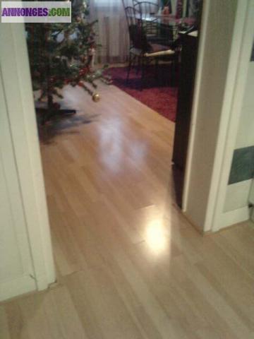 Pose parquet,pose terrasse bois et composite et autres