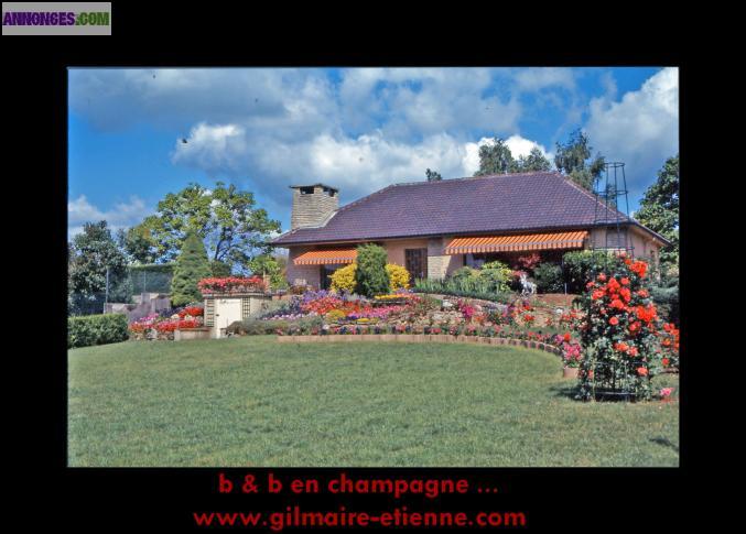 GITE 5 PERSONNES EN CHAMPAGNE