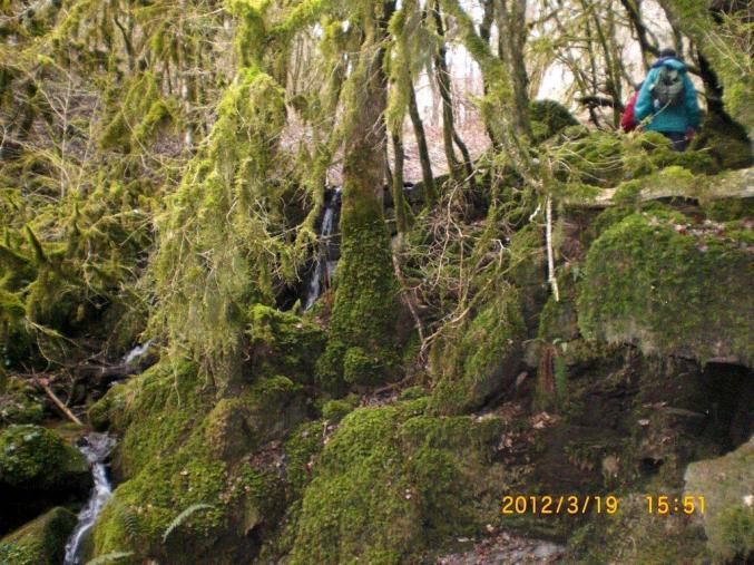  3 Gîtes avec salle de réception.