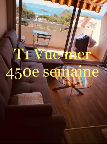 Magnifique vue mer T1 Meuble avec balcon sans vis à vis