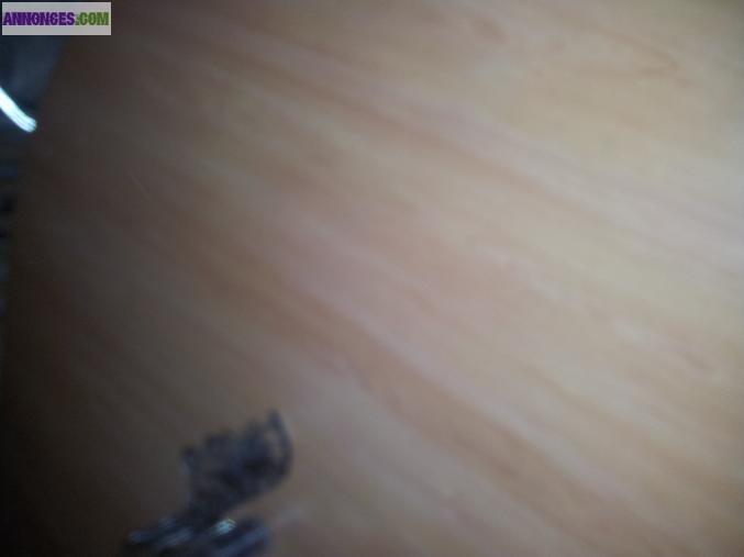 Table de salle a manger