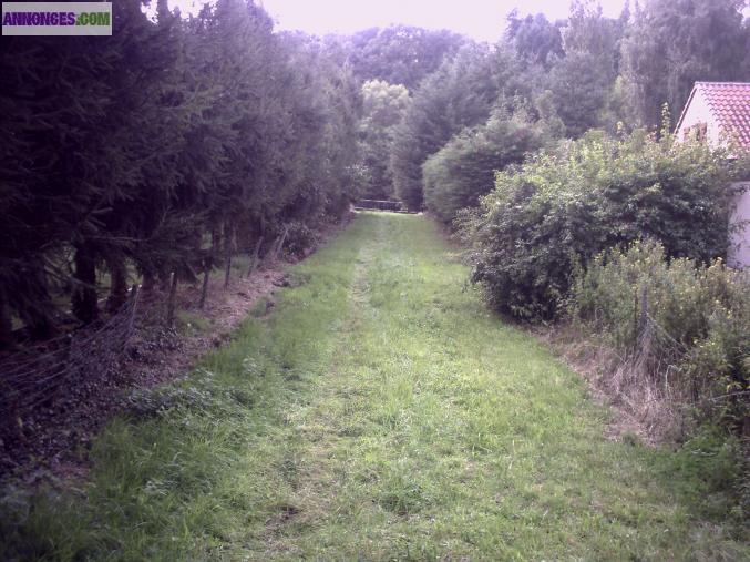 Terrain constructible