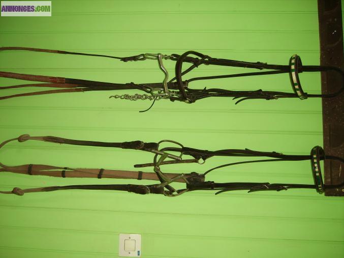 Matériels équitation