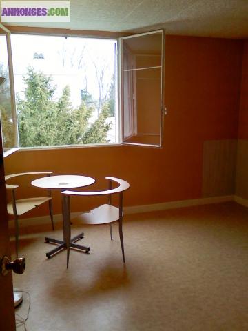 LOUE STUDETTE 15m2 à VAUCRESSON