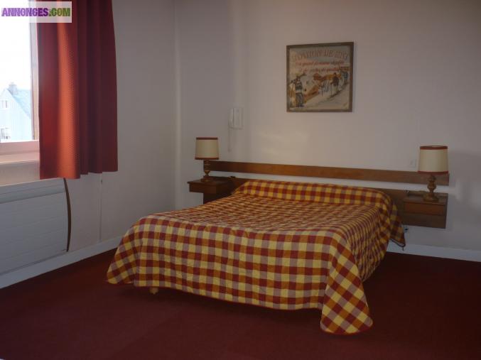 Hôtel de montagne Besse, 2*, salon, cheminée, bar