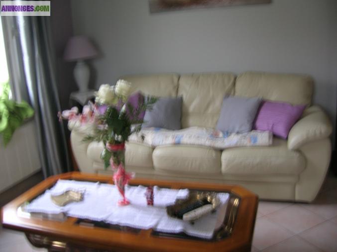 1 canapé de 3 places et un canapé de 2 places