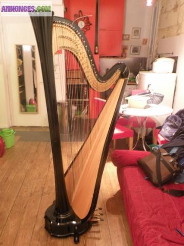 Harpe de concert Aurora Salvi 47 cordes‏