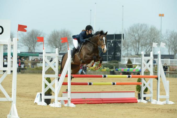 Quinjar, jument SF 11 ans