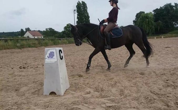 Location poney de sport