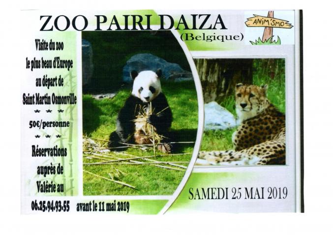 Sortie zoo Pairi Daiza