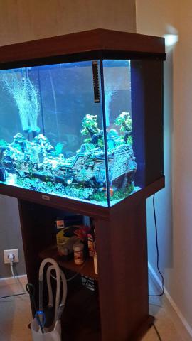 Aquarium 120L