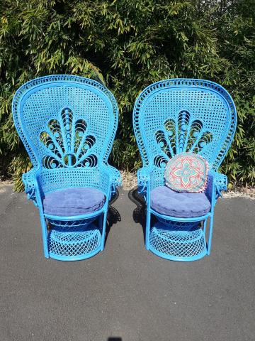 Paire de fauteuil Emmanuelle saphir.