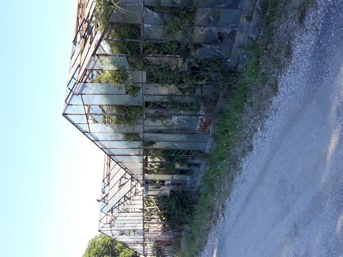 Démontage serre agricole