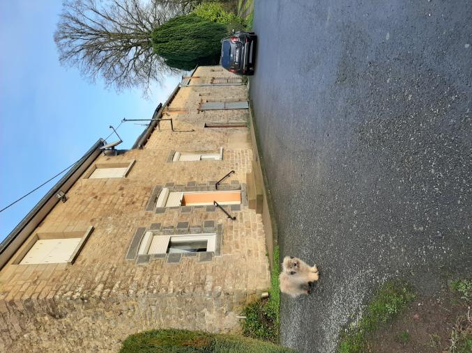 Maison  corps de ferme  terres agricoles