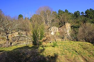 Vente de deux mas sur plusieurs hectares en Cévennes