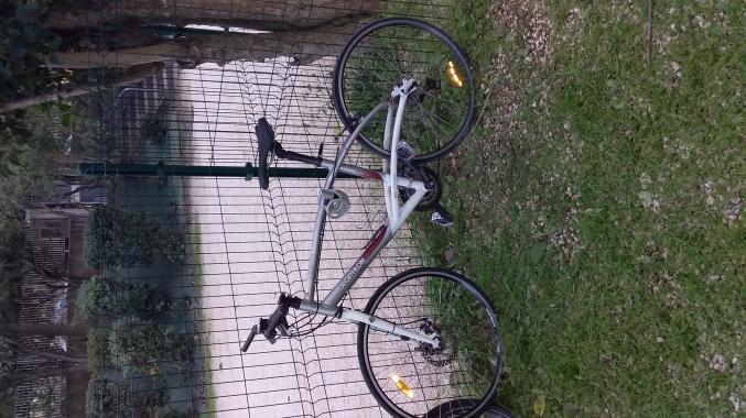 Vélo de route Triban Road 7