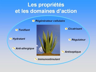 Travail a temps choisi